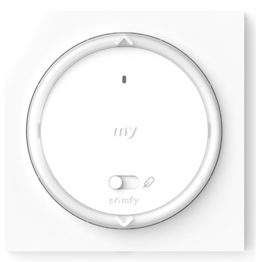Amy RS100 1 canal