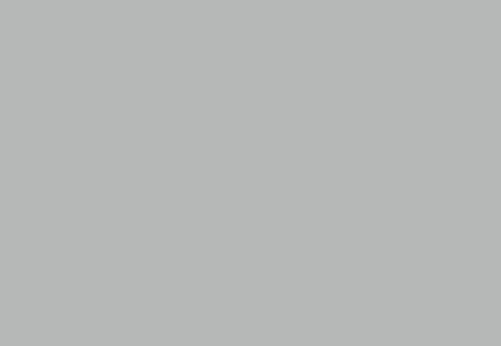 Gris Aluminium "Blanc"/RAL 9006